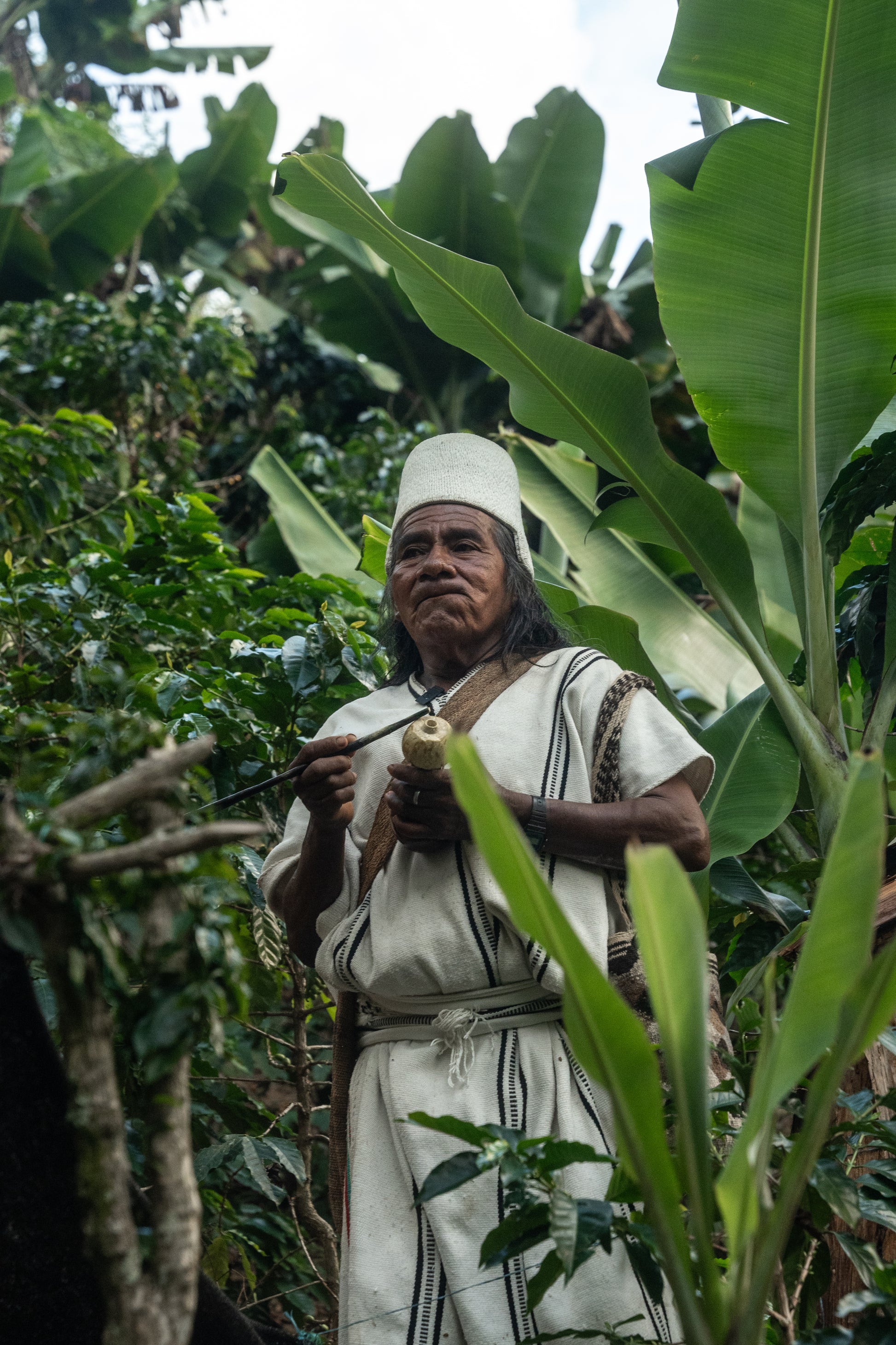 COLOMBIA ANEI PROJEKTKAFFEE