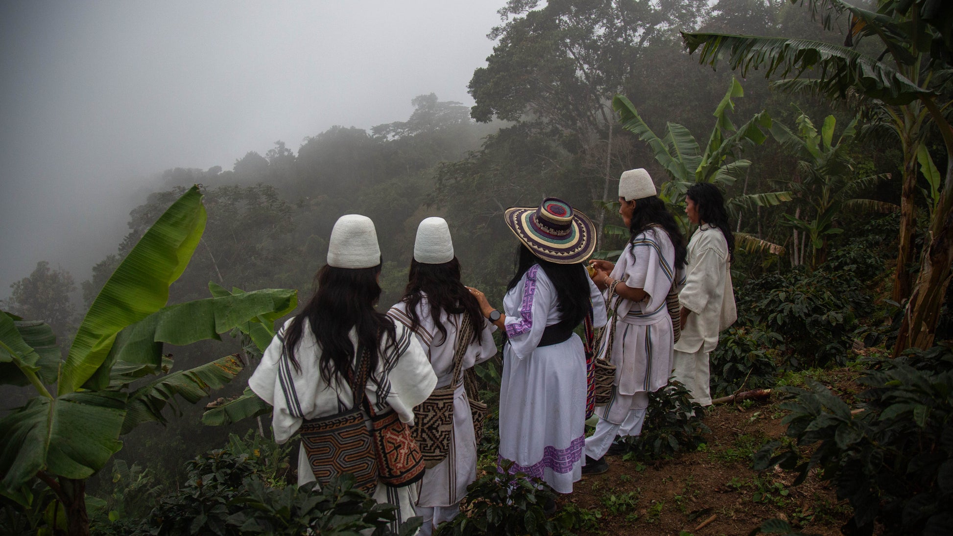 COLOMBIA ANEI PROJEKTKAFFEE