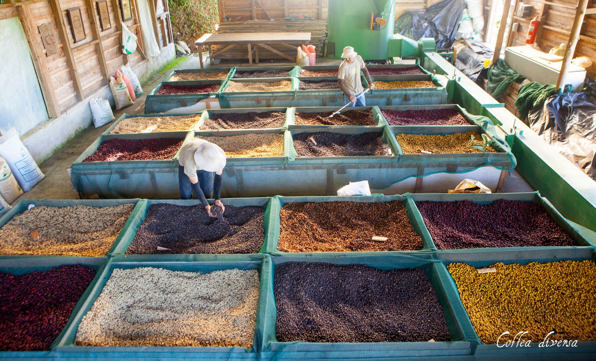 GUATEMALA FILTER