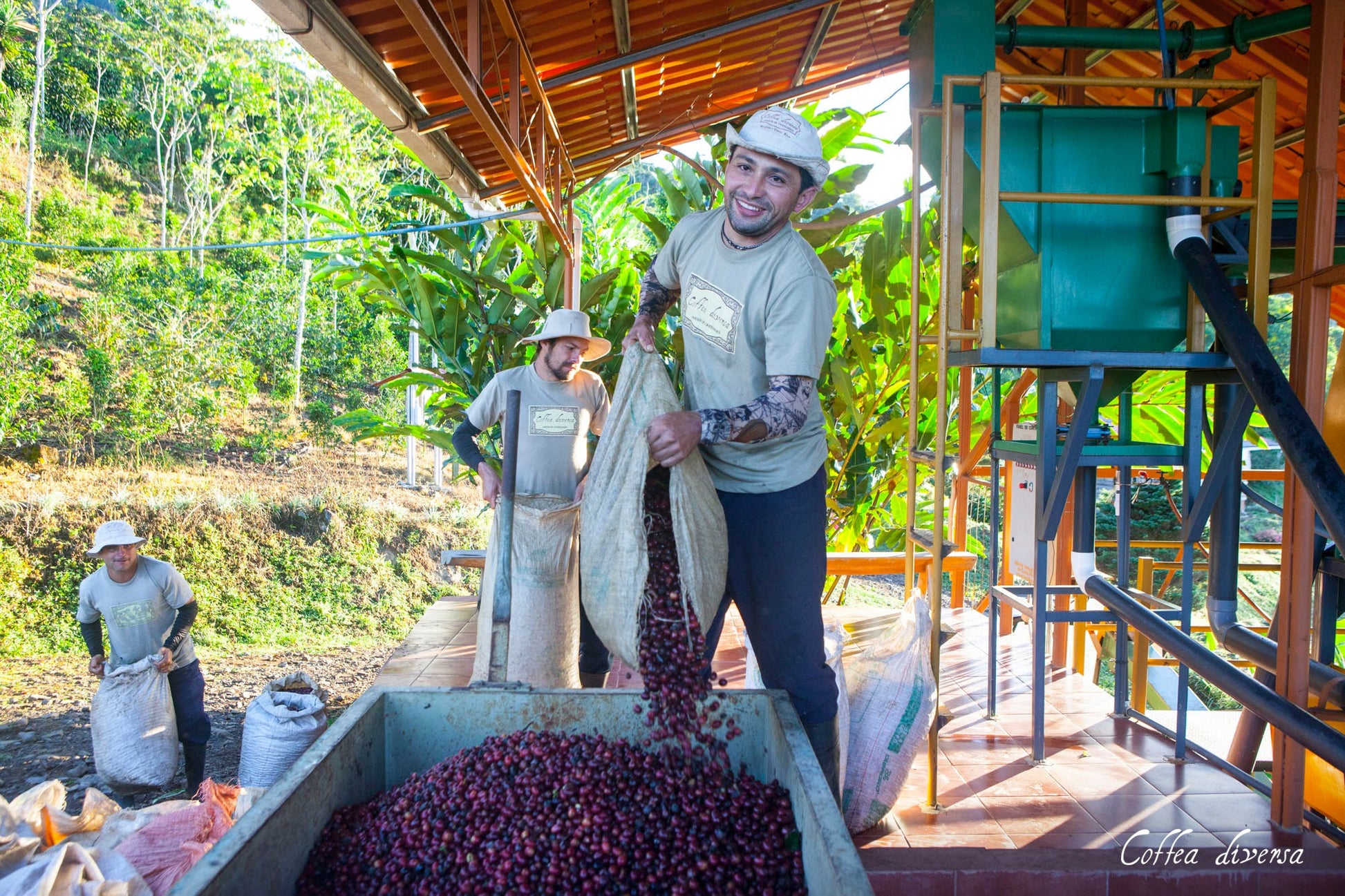 GUATEMALA FILTER