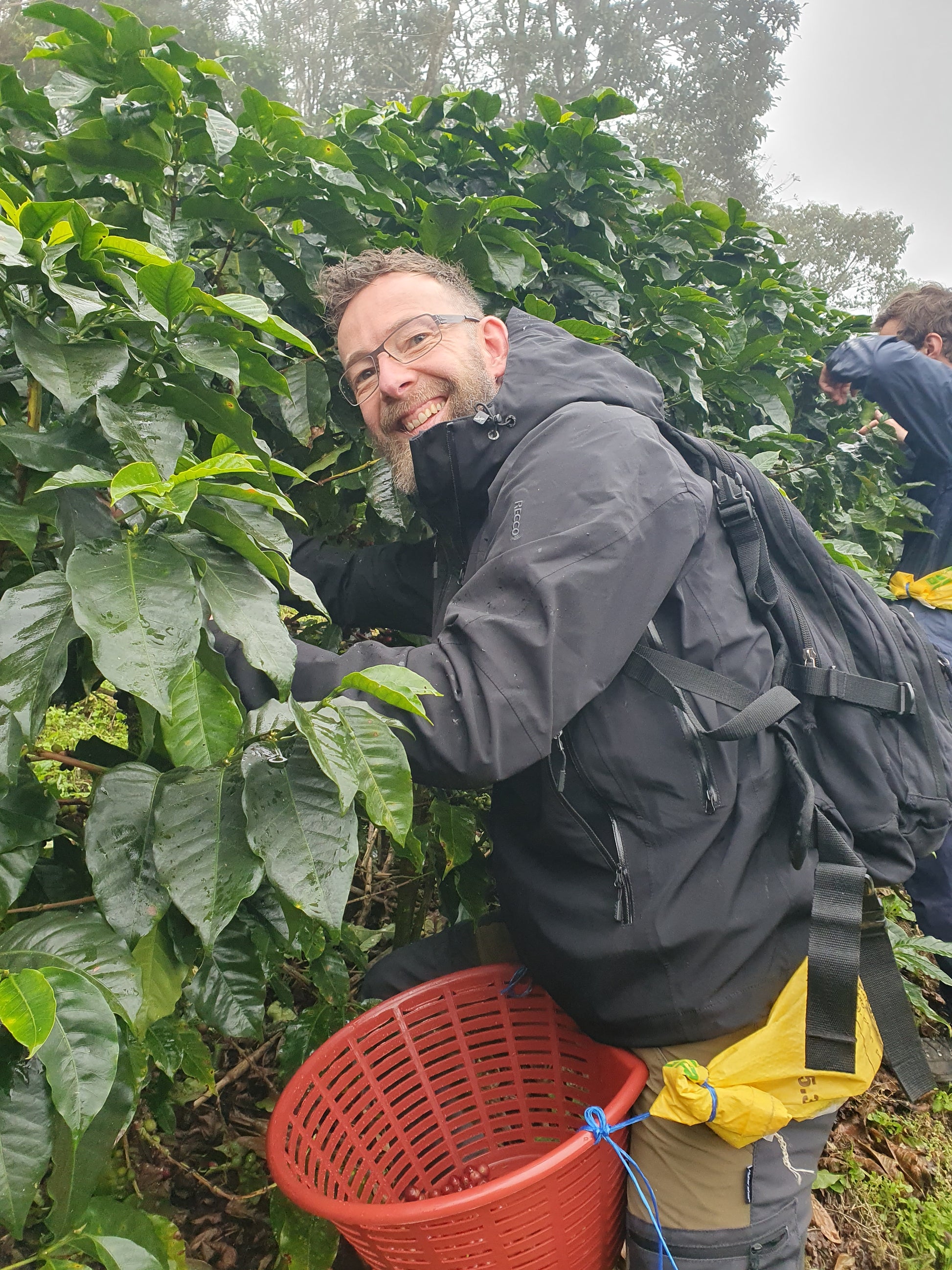 (B2B) NICARAGUA LAS FLORES ESPRESSO